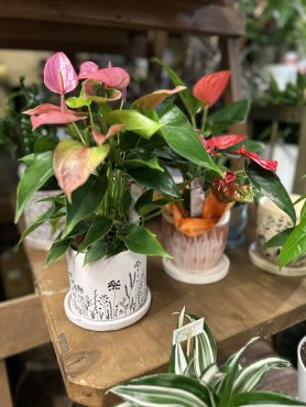 お花と器をコーディネイト( *´艸｀)｜「フローリスト飾り屋」　（鹿児島県鹿児島市の花キューピット加盟店 花屋）のブログ