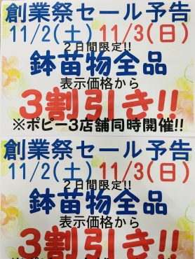 11/2(土)・11/3(日)は大創業祭！苗鉢物３割引き!!｜「ポピー」　（京都府八幡市の花キューピット加盟店 花屋）のブログ