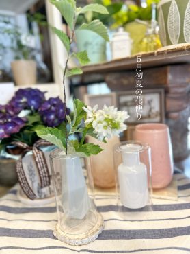 新緑の季節｜「フローリスト飾り屋」　（鹿児島県鹿児島市の花キューピット加盟店 花屋）のブログ