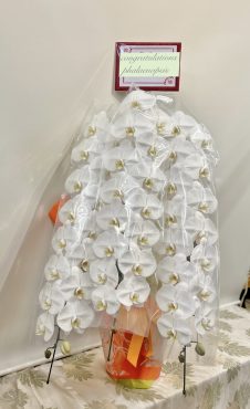 御祝ファレノプシス｜「フローリスト飾り屋」　（鹿児島県鹿児島市の花キューピット加盟店 花屋）のブログ