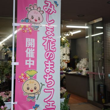 「みしま花のまちフェア」を開催しました！｜「フローラント」　（静岡県三島市の花キューピット加盟店 花屋）のブログ