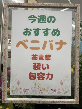 今週のおすすめ　weekly Flower 478｜「いなげ花店」　（山形県上山市の花キューピット加盟店 花屋）のブログ