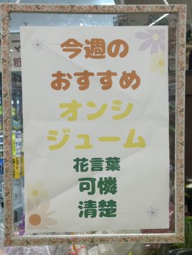今週のおすすめ　weekly Flower 479｜「いなげ花店」　（山形県上山市の花キューピット加盟店 花屋）のブログ