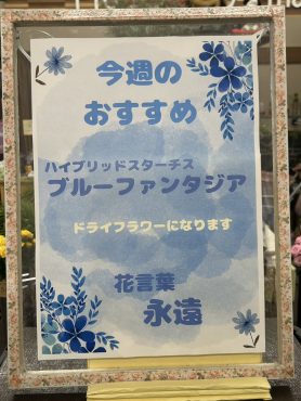 今週のおすすめ　weekly Flower 480｜「いなげ花店」　（山形県上山市の花キューピット加盟店 花屋）のブログ