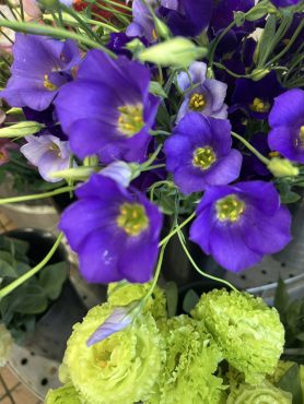【ブルーフィズ】という名前のトルコキキョウ｜「いなげ花店」　（山形県上山市の花キューピット加盟店 花屋）のブログ