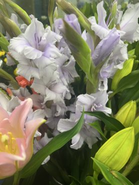 【ミルカ】という名前のグラジオラス｜「いなげ花店」　（山形県上山市の花キューピット加盟店 花屋）のブログ