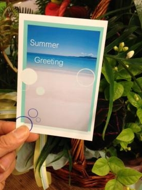 summer　greeting　～おすすめ　寄せ鉢セットです～｜「フローリスト飾り屋」　（鹿児島県鹿児島市の花キューピット加盟店 花屋）のブログ