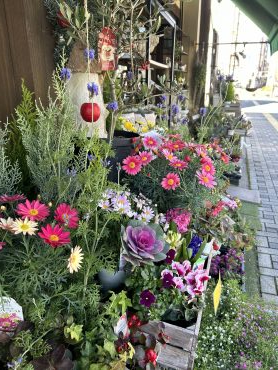 春景色～店休日お知らせ｜「フローリスト飾り屋」　（鹿児島県鹿児島市の花キューピット加盟店 花屋）のブログ