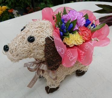 わんちゃん好きの方に♪フラワーアレンジメント｜「愛花」　（愛媛県松山市の花キューピット加盟店 花屋）のブログ