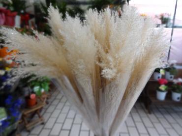 今年のお月見は９月３０日｜「ポピー」　（京都府八幡市の花キューピット加盟店 花屋）のブログ