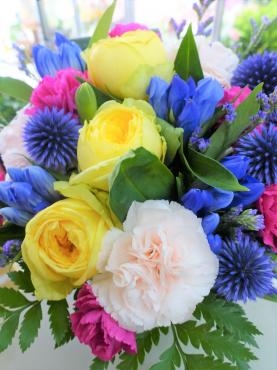 ルリ玉あざみ（ベッチーズブルー）｜「ポピー」　（京都府八幡市の花キューピット加盟店 花屋）のブログ
