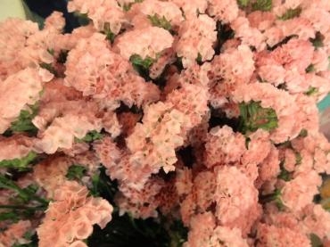 オレンジ色のスターチス｜「ポピー」　（京都府八幡市の花キューピット加盟店 花屋）のブログ