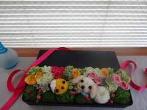 アニマルシリーズ新作！｜「緑花園」　（徳島県吉野川市の花キューピット加盟店 花屋）のブログ
