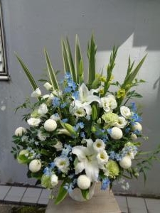 御供やお祝いのお届け｜「緑花園」　（徳島県吉野川市の花キューピット加盟店 花屋）のブログ