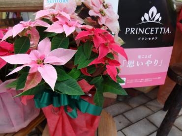 盗まれたカバンが出てきた｜「ポピー」　（京都府八幡市の花キューピット加盟店 花屋）のブログ