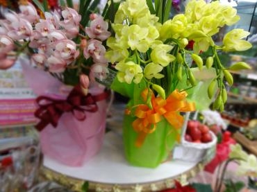 シンビジュームとポインセチア｜「ポピー」　（京都府八幡市の花キューピット加盟店 花屋）のブログ
