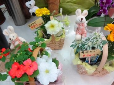 職業体験２日間｜「ポピー」　（京都府八幡市の花キューピット加盟店 花屋）のブログ