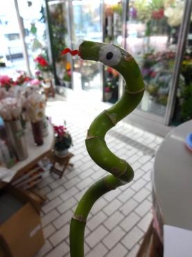 ヘビ年の縁起物の秘密兵器｜「ポピー」　（京都府八幡市の花キューピット加盟店 花屋）のブログ