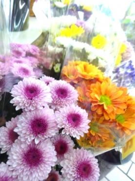今すぐお墓参りに行っといた方がいいかも・・・・・と思った件｜「ポピー」　（京都府八幡市の花キューピット加盟店 花屋）のブログ