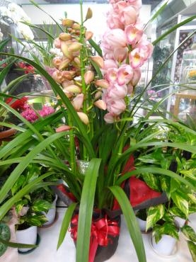 花が少なくなってきたけど、残りものには福がある｜「ポピー」　（京都府八幡市の花キューピット加盟店 花屋）のブログ
