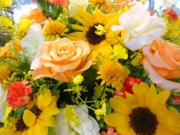 ７月のはじめは・・・・・・・梅雨開けた～～!!!!!｜「ポピー」　（京都府八幡市の花キューピット加盟店 花屋）のブログ