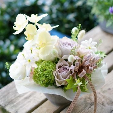 この時期限定、優しい色合いのハーモニー  フローラント｜「フローラント」　（静岡県三島市の花キューピット加盟店 花屋）のブログ