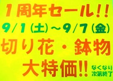 セール予告！！(9/1 ～)｜「ポピー」　（京都府八幡市の花キューピット加盟店 花屋）のブログ