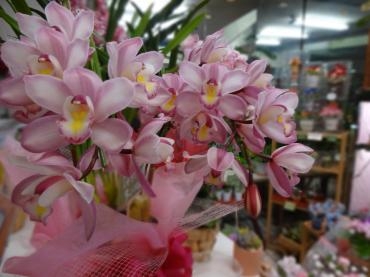 なんか妙に忙しいような気がしているだけ｜「ポピー」　（京都府八幡市の花キューピット加盟店 花屋）のブログ