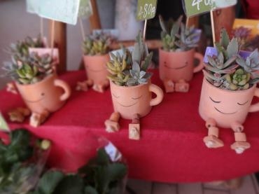 今日は寒いけどいい天気｜「ポピー」　（京都府八幡市の花キューピット加盟店 花屋）のブログ