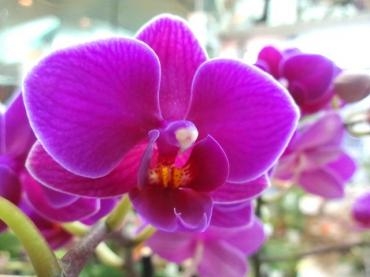 体育の日なので健康を見直してみる｜「ポピー」　（京都府八幡市の花キューピット加盟店 花屋）のブログ