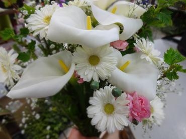 大輪カラー｜「ポピー」　（京都府八幡市の花キューピット加盟店 花屋）のブログ
