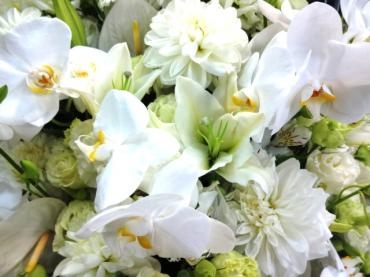 そろそろ創業祭の事を考える。｜「ポピー」　（京都府八幡市の花キューピット加盟店 花屋）のブログ