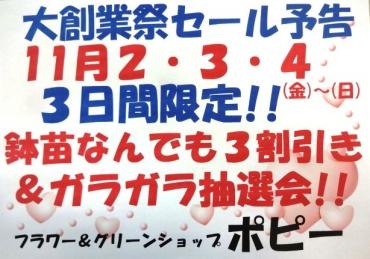 セール予告＜大創業祭＞｜「ポピー」　（京都府八幡市の花キューピット加盟店 花屋）のブログ