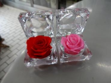 500円のプリザーブドフラワー｜「ポピー」　（京都府八幡市の花キューピット加盟店 花屋）のブログ