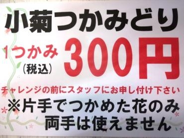 つかみどり企画!!（11/17（土）生協男山店限定！！）｜「ポピー」　（京都府八幡市の花キューピット加盟店 花屋）のブログ