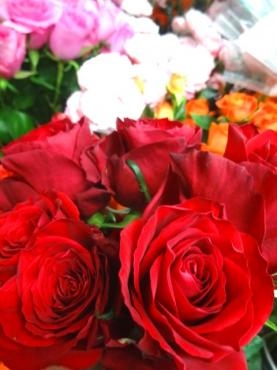 いい夫婦の日が第４木曜日・・・・・｜「ポピー」　（京都府八幡市の花キューピット加盟店 花屋）のブログ