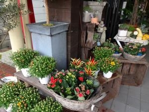 敬老の日ですネ！｜「緑花園」　（徳島県吉野川市の花キューピット加盟店 花屋）のブログ