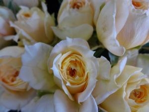 秋色アレンジ｜「緑花園」　（徳島県吉野川市の花キューピット加盟店 花屋）のブログ