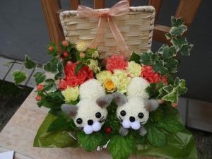 アニマルフラワーニャン太・ペアを｜「緑花園」　（徳島県吉野川市の花キューピット加盟店 花屋）のブログ