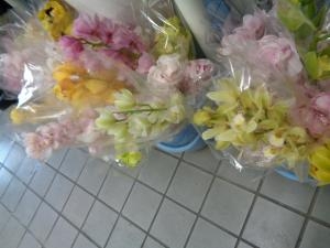 阿波市シティーマラソンのお手伝い｜「緑花園」　（徳島県吉野川市の花キューピット加盟店 花屋）のブログ