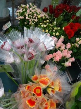 珍しい感覚｜「ポピー」　（京都府八幡市の花キューピット加盟店 花屋）のブログ