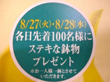 ８/２７日（火）・８/２８（水）は花キューピットドリームin京都｜「ポピー」　（京都府八幡市の花キューピット加盟店 花屋）のブログ