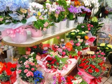 母の日前の仕入れ（母の日は5/12（日）です）｜「ポピー」　（京都府八幡市の花キューピット加盟店 花屋）のブログ