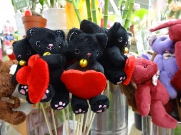 アニマルピック新入荷｜「ポピー」　（京都府八幡市の花キューピット加盟店 花屋）のブログ