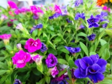 dsc01875