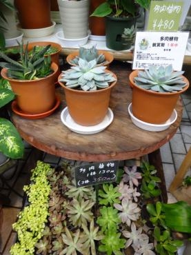 ネットのチカラ｜「ポピー」　（京都府八幡市の花キューピット加盟店 花屋）のブログ