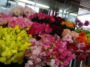 ヤット　いっぱい入荷しました！｜「緑花園」　（徳島県吉野川市の花キューピット加盟店 花屋）のブログ