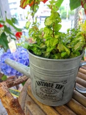 追悼｜「ポピー」　（京都府八幡市の花キューピット加盟店 花屋）のブログ