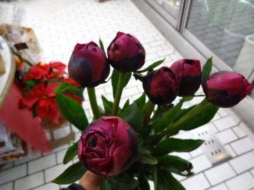 また季節感のない花が｜「ポピー」　（京都府八幡市の花キューピット加盟店 花屋）のブログ