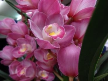 海の緊急は１１８番｜「ポピー」　（京都府八幡市の花キューピット加盟店 花屋）のブログ